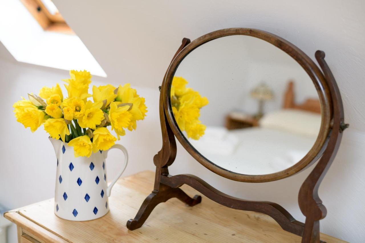 Luccombe Farm Holiday Cottages Milton Abbas Eksteriør billede