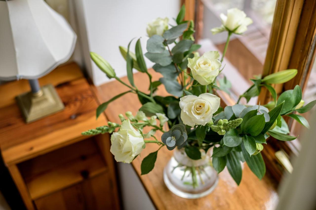 Luccombe Farm Holiday Cottages Milton Abbas Eksteriør billede