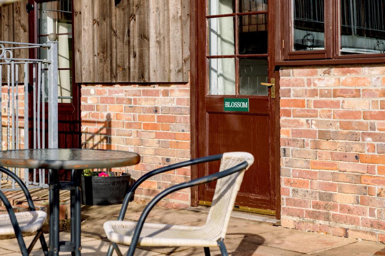 Luccombe Farm Holiday Cottages Milton Abbas Eksteriør billede