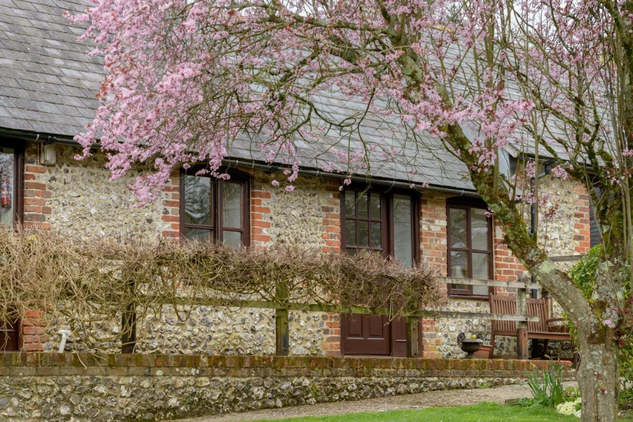 Luccombe Farm Holiday Cottages Milton Abbas Eksteriør billede