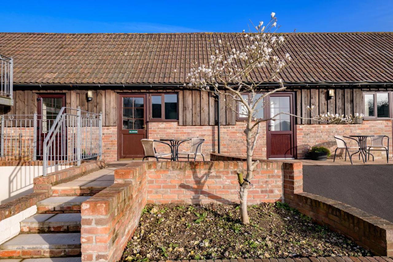Luccombe Farm Holiday Cottages Milton Abbas Eksteriør billede