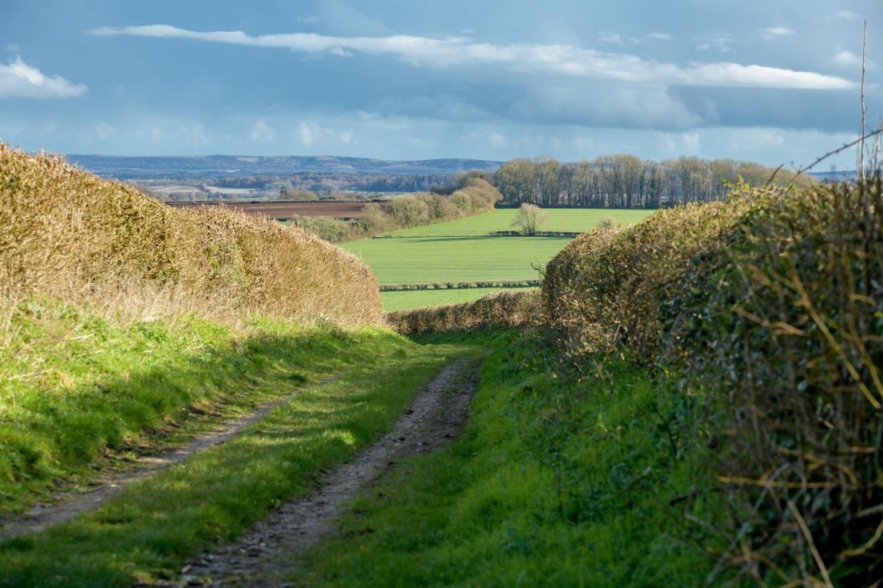 Luccombe Farm Holiday Cottages Milton Abbas Eksteriør billede