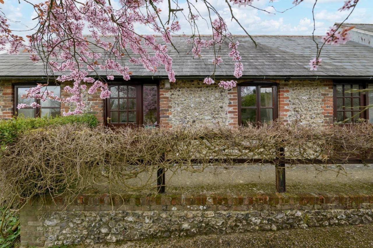 Luccombe Farm Holiday Cottages Milton Abbas Eksteriør billede