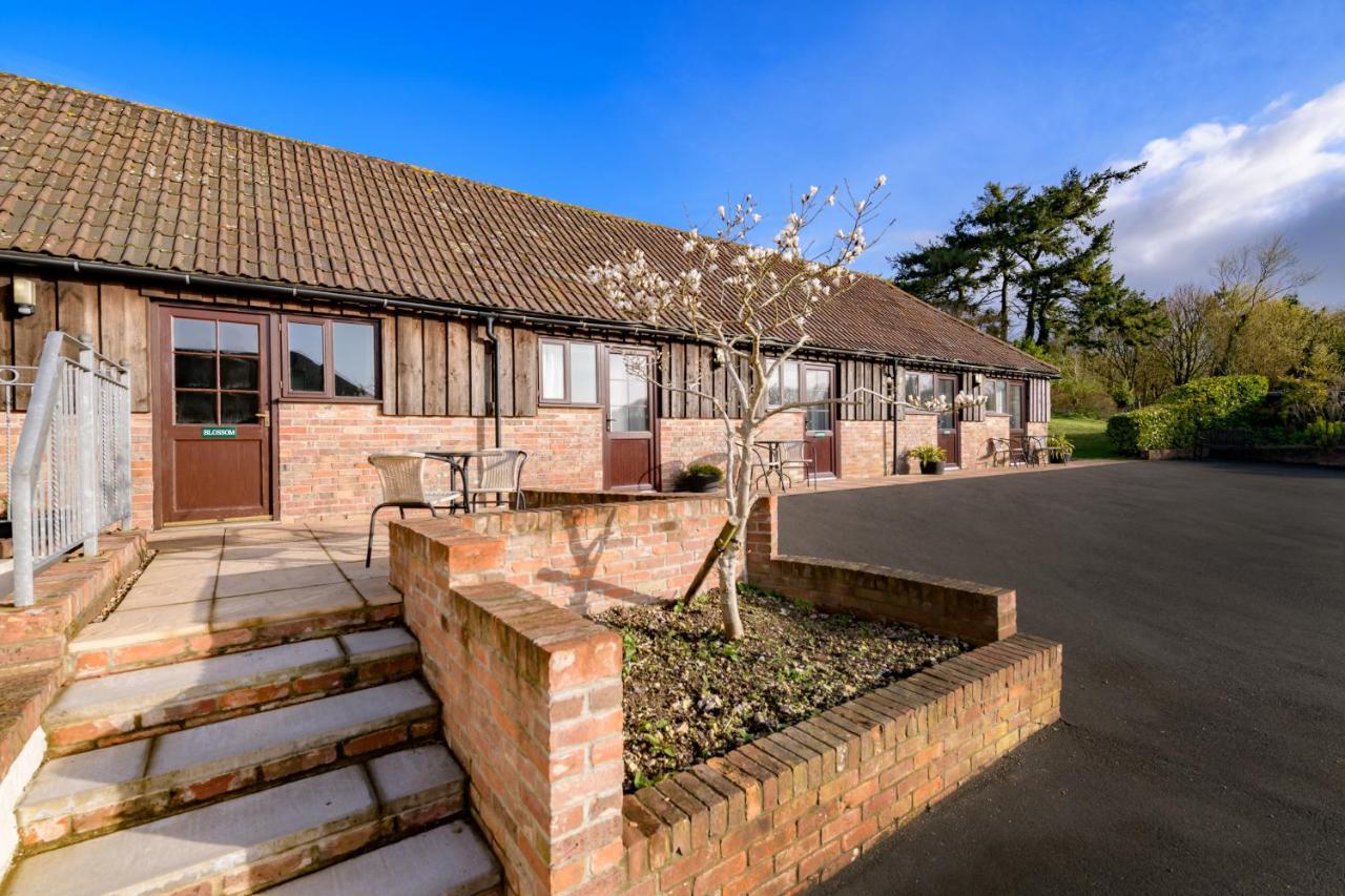 Luccombe Farm Holiday Cottages Milton Abbas Eksteriør billede